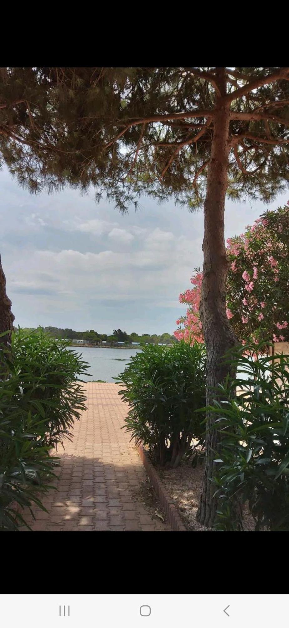 Villa 6P Piscine Spa Privatif Wifi Proche Des Plages Le Barcarès Exterior foto